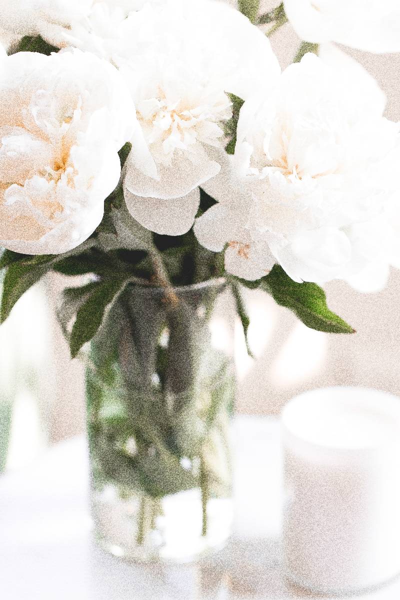 white roses in a clear vase