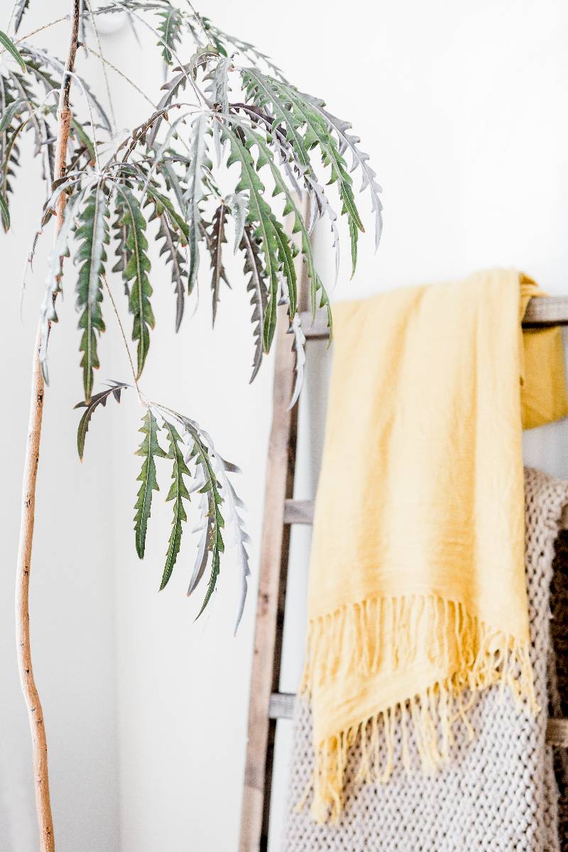 yellow blanket on a decor ladder with a plant